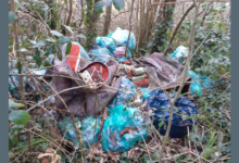 Fly tipping incident on Woodlands Lane, Leckwith.