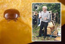 Harold Williams giving a talk to new beekeepers.