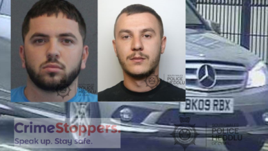 Crimestoppers offers reward for information.
