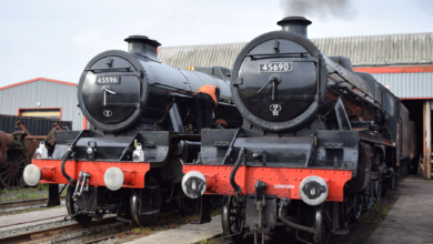 Engines 45596 and 45690 on show.