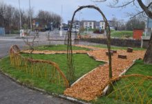 Willow fencing and arches around the garden area.