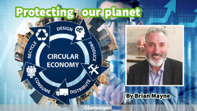 Protecting our planet by Brian Mayne.