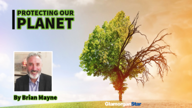 Brian Mayne.