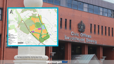 Vale council is currently in the early stages of drawing up its replacement local development plan (RLDP).