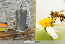 A repurposed tea urn is  used to steam clean parts of the hive.