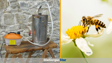 A repurposed tea urn is  used to steam clean parts of the hive.