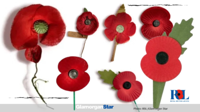 RBL’s poppy has evolved from silk and lawn cloth to plastic free.