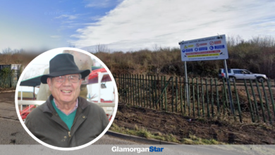 Vale of Glamorgan Council has issued a temporary stop notice requiring the owner of land at Hayes Road, Sully to halt ground engineering works. Photo: Google