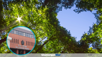 Canopy of trees from Adobe images. Inset: Vale Council offices in Barry by Sharon Harris.