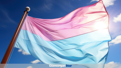 Vale Council is expected to announce its new Draft Transgender Inclusion Toolkit