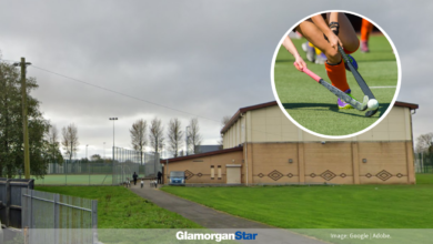 A HOCKEY enthusiast from Barry is calling on the Vale Council and other elected representatives to restore a pitch at Colcot Sports Centre. Image: Adobe.