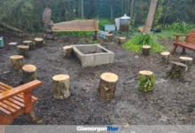 Part of Everyone’s Garden’ in Colcot, Barry