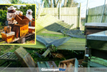 |A scene of devastation after Storm Henk hit.