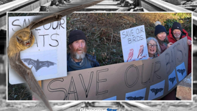 Knap residents are determined to protect local bats.