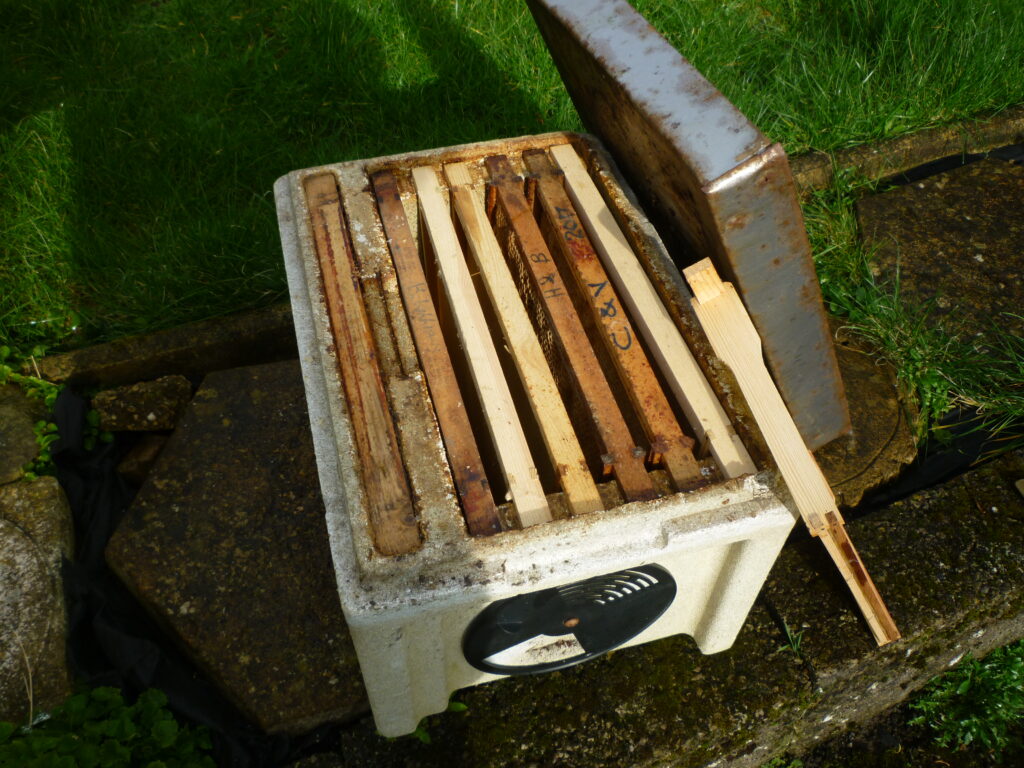 A small nucleus box designed to help the colony grow.