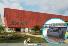 An artist’s impression of the school. Photo: HLM Architects / Adobe.