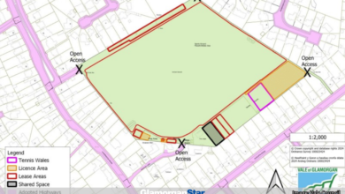Penarth news - A map showing the proposed area of land that Penarth Athletic Club will lease. Photo: Vale Council.
