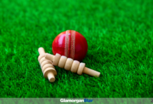 GHlamorgan Star news - Cricket report. Photo: Adobe.