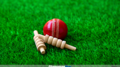 GHlamorgan Star news - Cricket report. Photo: Adobe.
