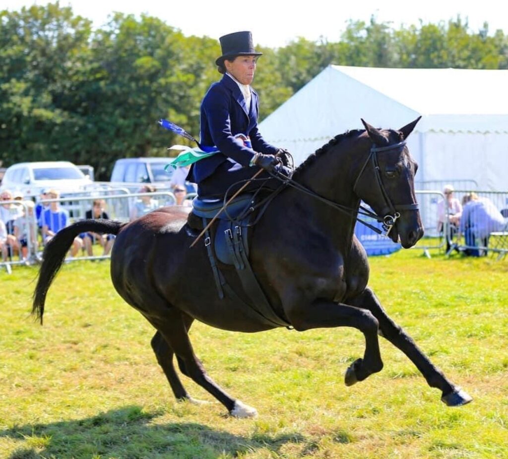 Glamorgan Star news - Various equestrian events, including show jumping, will take place during the show.