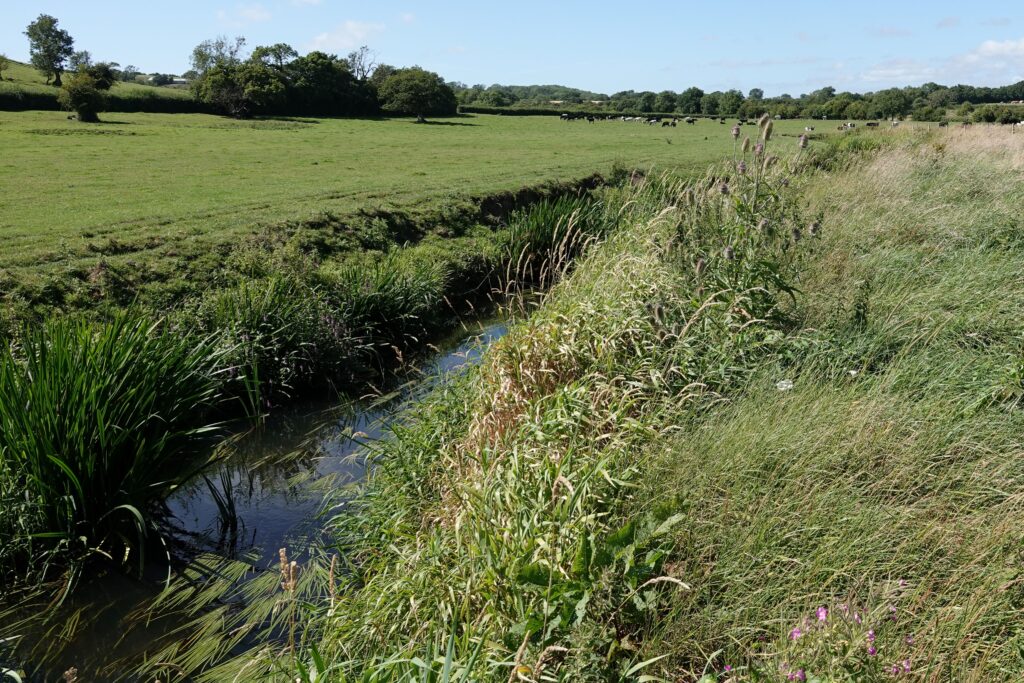 Glamorgan Star news - The River Thaw. Photo by Rob Parry/INCC.