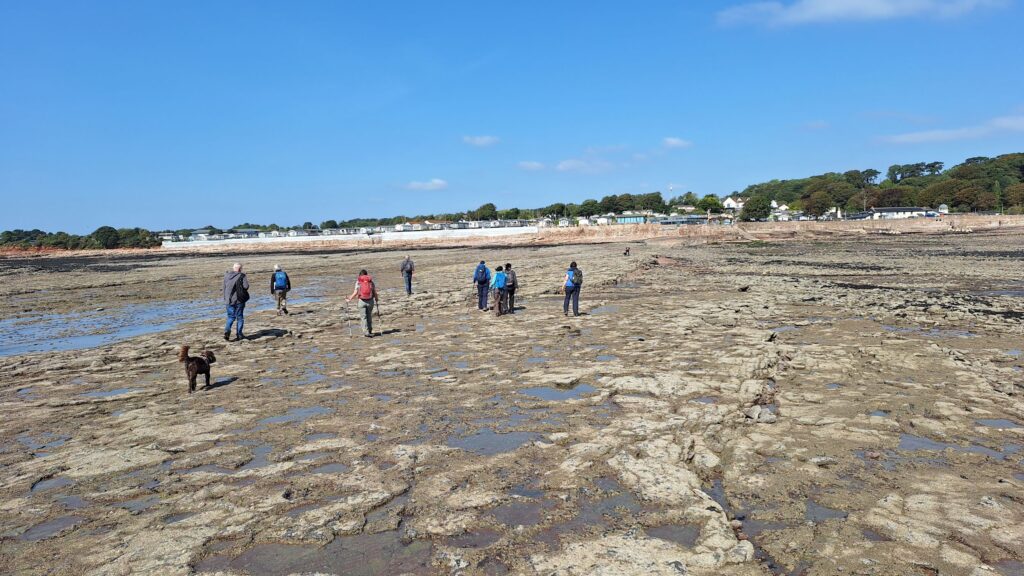 Recrossing the rocky causeway at low tide. Photo Joy Strangward