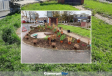 Part of the garden before after.