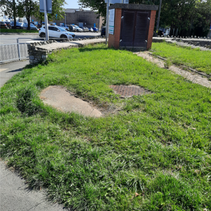 Part of the garden before work started.