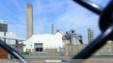 Aberthaw Power Plant taken in 2021 by Eirian Evans, via Geograph.