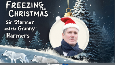 Credit: Sir Starmer and the Granny Harmers.