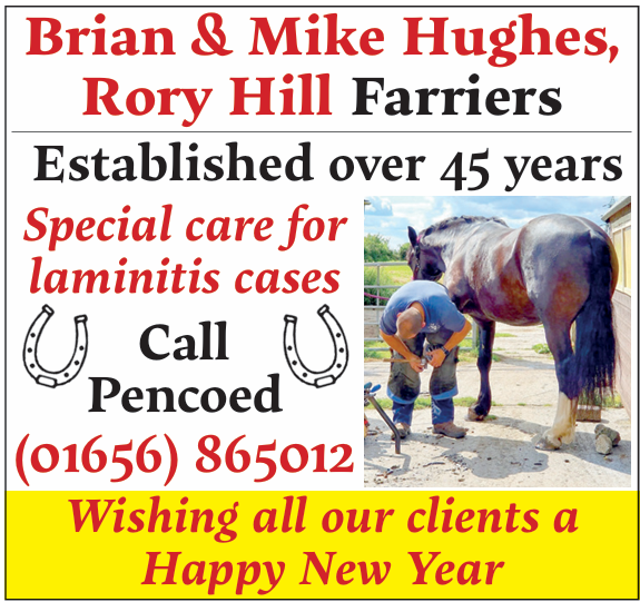 Brian & Mike Hughes, Rory Hill Farriers.
