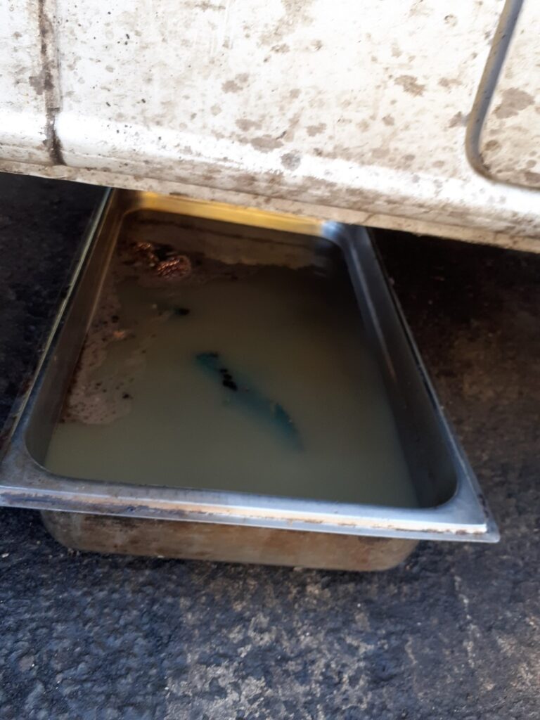 Inspectors described conditions as ‘blatant disregard for food safety'.