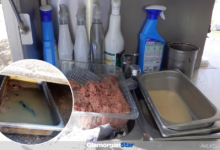 Food in serious risk of contamination. Photo: Vale Council.