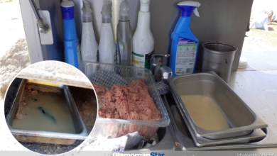 Food in serious risk of contamination. Photo: Vale Council.