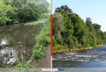 Penarth and District Ramblers images.