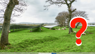 A company image over the solar farm but where is it?