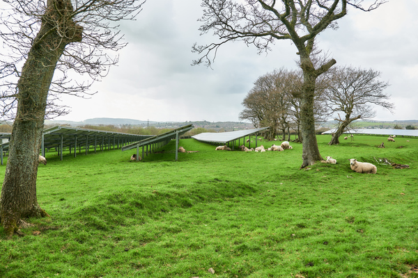 A company image over the solar farm.