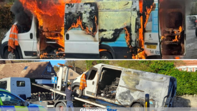 Van destroyed by fire in Dinas Powys