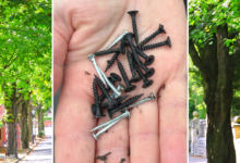Some of the screws and nails found on a Penarth road.
