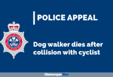 Dog walker dies after collision with cyclist