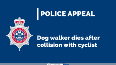 Dog walker dies after collision with cyclist