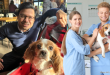 | Mr Narayan with Orlla, a constituent’s puppy. Photo: MP / Adobe.