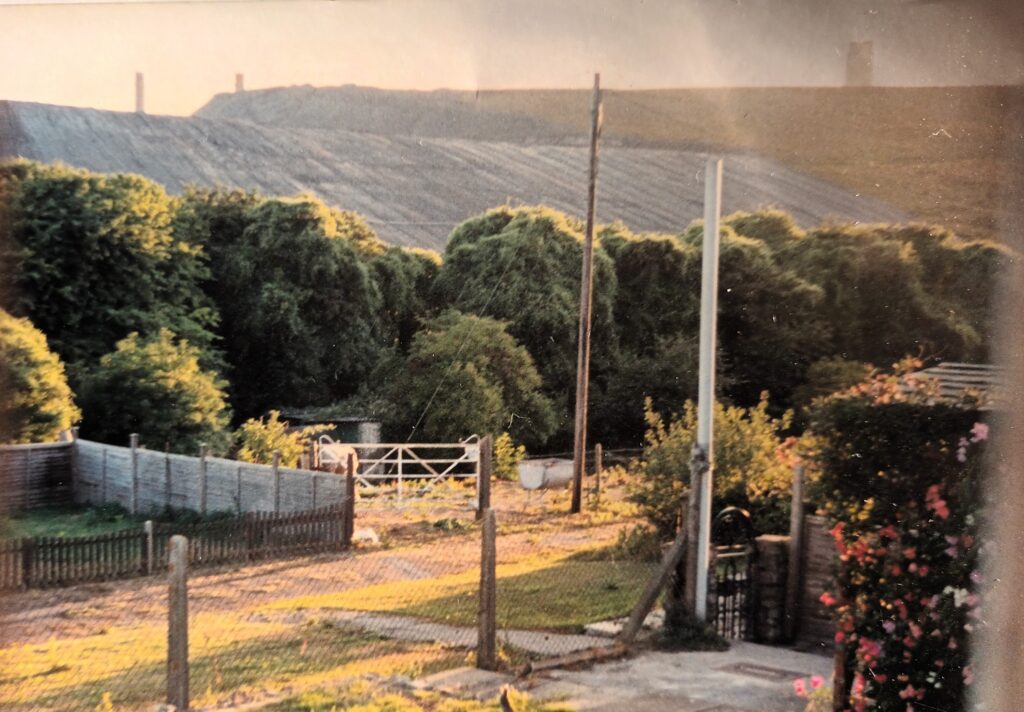 An old photograph taken in about 2002 from Keith Neighbour\'s home showing a view of the ash mound back then. Pic: Keith Neighbour.