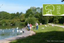 Eastern Lake, Cosmeston Lakes Country Park.