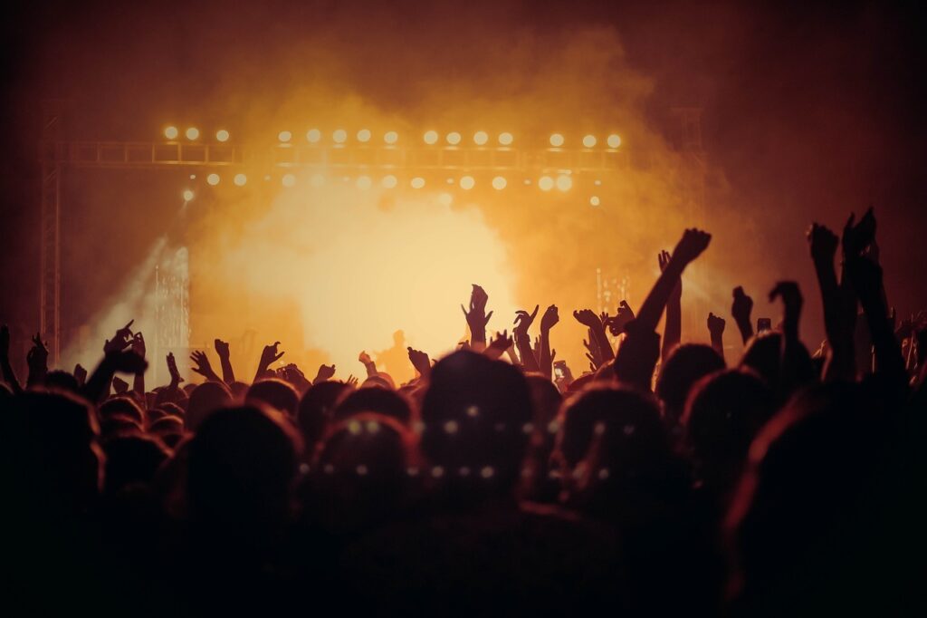 Friends of Bute Park have added their voice to concerns about plans for major gigs at Blackweir Fields. Photo: Pixabay.