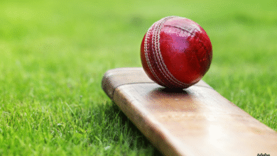 Cricket ball and bat. Adobe.