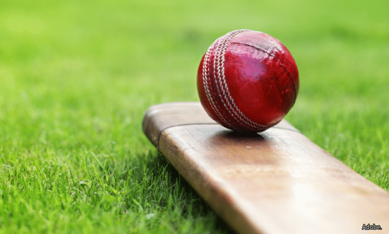 Cricket ball and bat. Adobe.