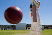 Cricket player with ball. Adobe.