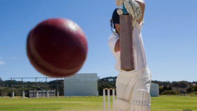 Cricket player with ball. Adobe.