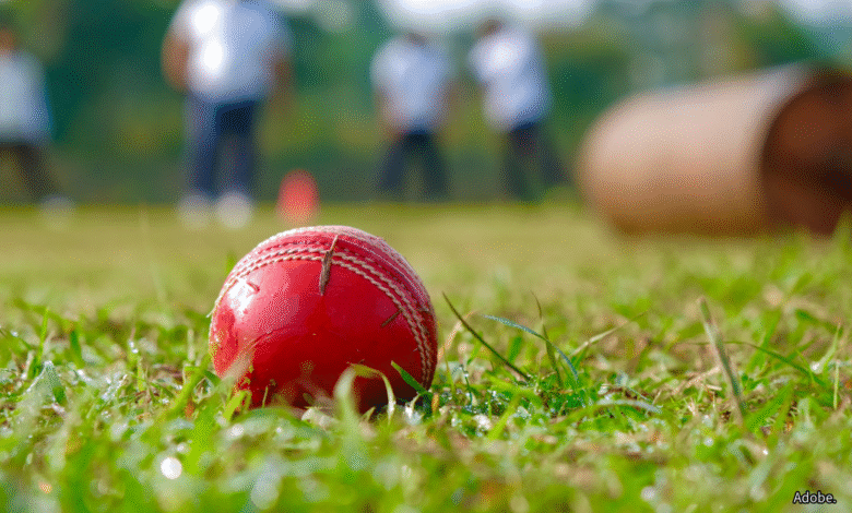 Sully Centurions cricket report. Photo: Adobe.